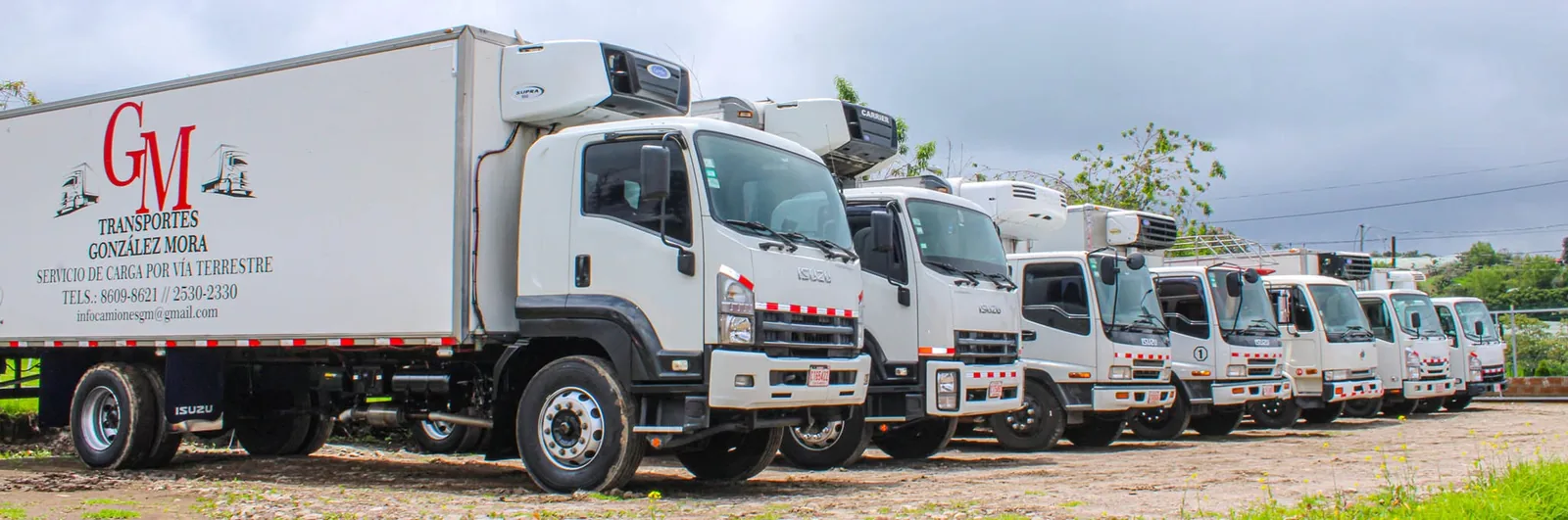 La flota de Transportes González Mora aparcada en el patio: nueve camiones rígidos blancos en fila, con el equipo de frío sobre la cabina y el rótulo de la empresa en el costado.